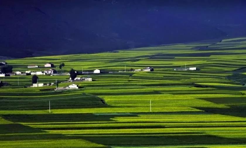【農(nóng)業(yè)政策資訊】中央財(cái)政助農(nóng)業(yè)綠色發(fā)展，這才是未來(lái)農(nóng)業(yè)發(fā)展方向！