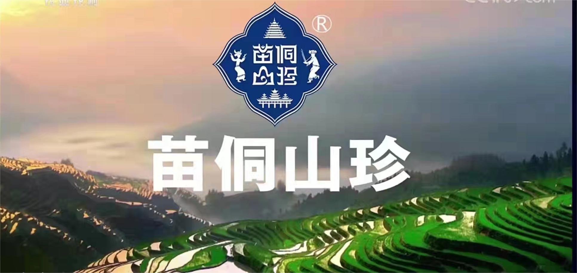 【每周優(yōu)品】走進(jìn)貴州茶山，了解貴州原生態(tài)綠茶！