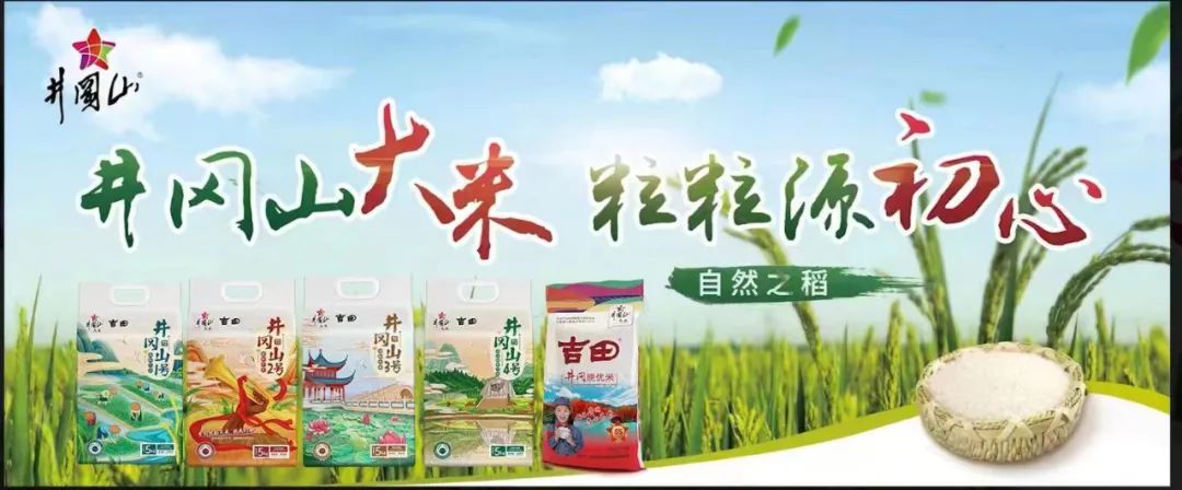 【每周優(yōu)品】在珍稀紅粘沙土中生長，以山泉水灌溉，質地雪白明亮，口感香甜松軟的井岡山大米